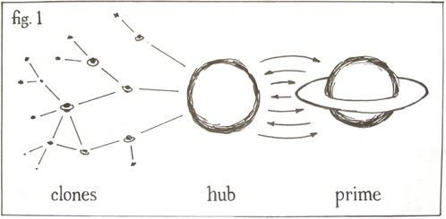 Clones, Hub, Prime